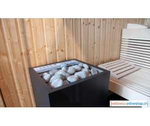 Sentiotec Saunaofen Home Combi