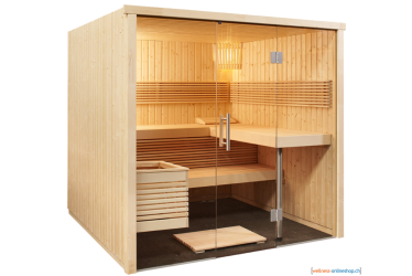 panorama_large_spiez