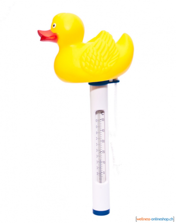 thermometer_ente_1